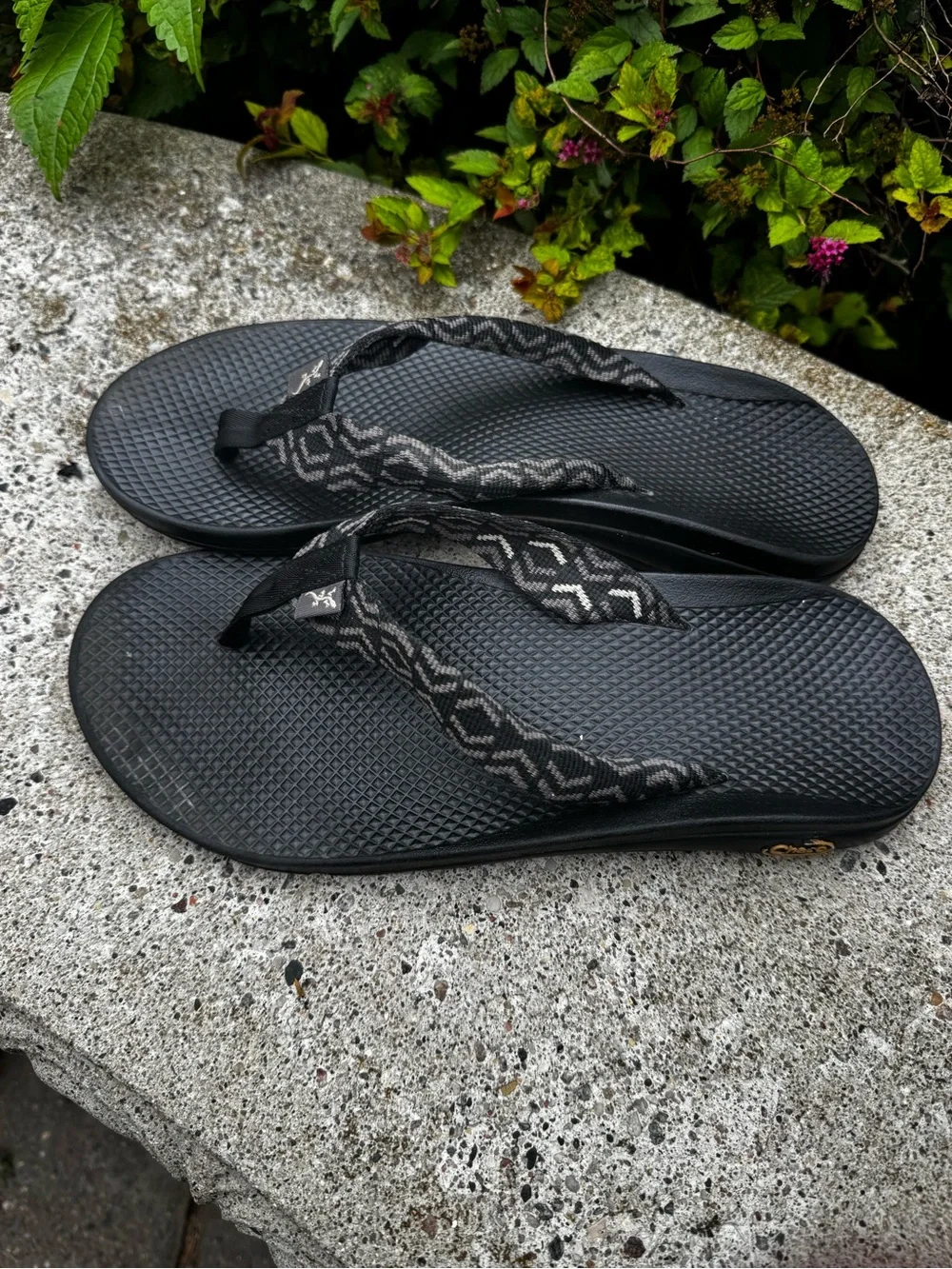 Teva image shows